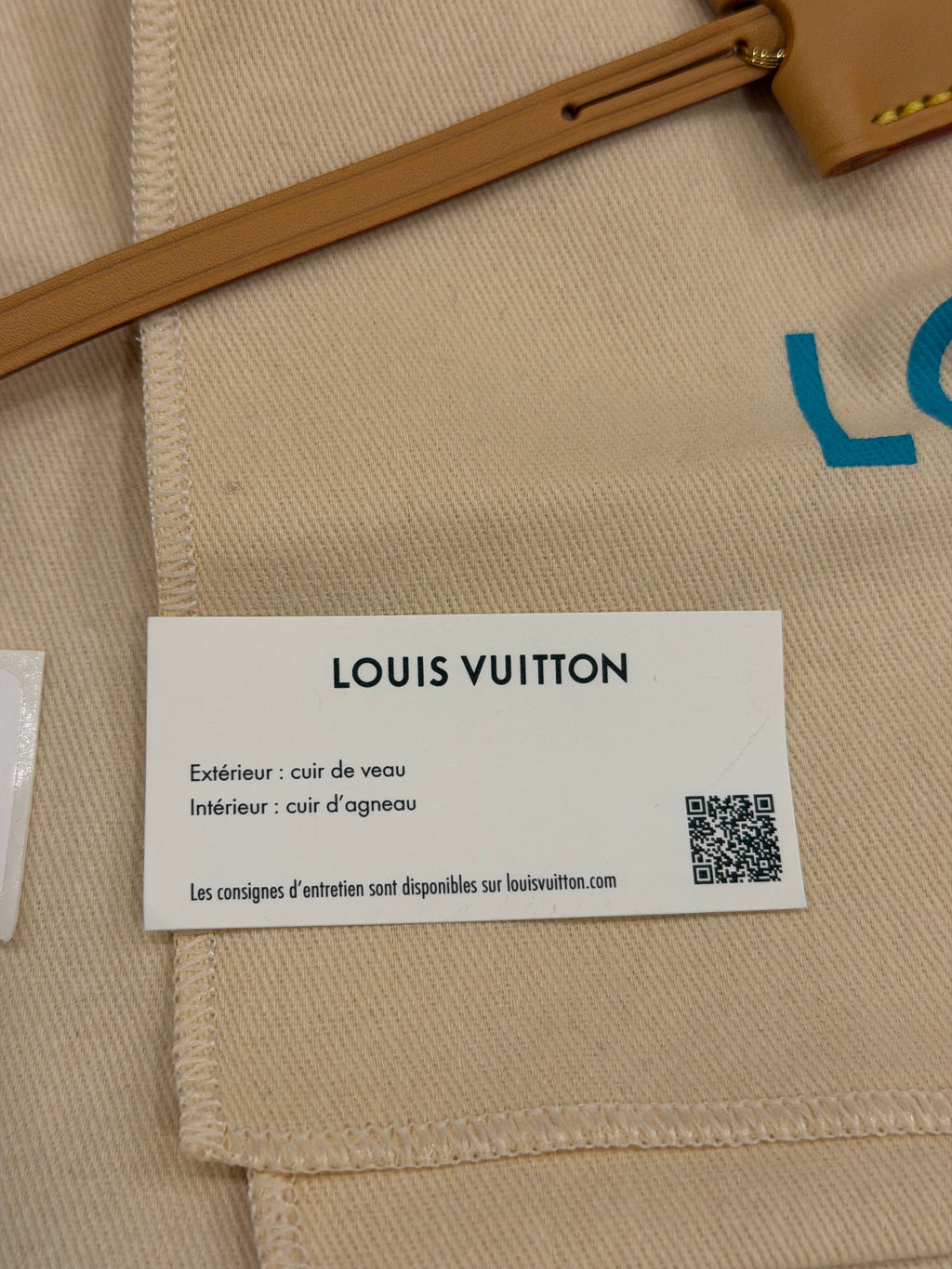 Louis Speedy P9 Bandoulière 40 Turquoise Duffle Bag