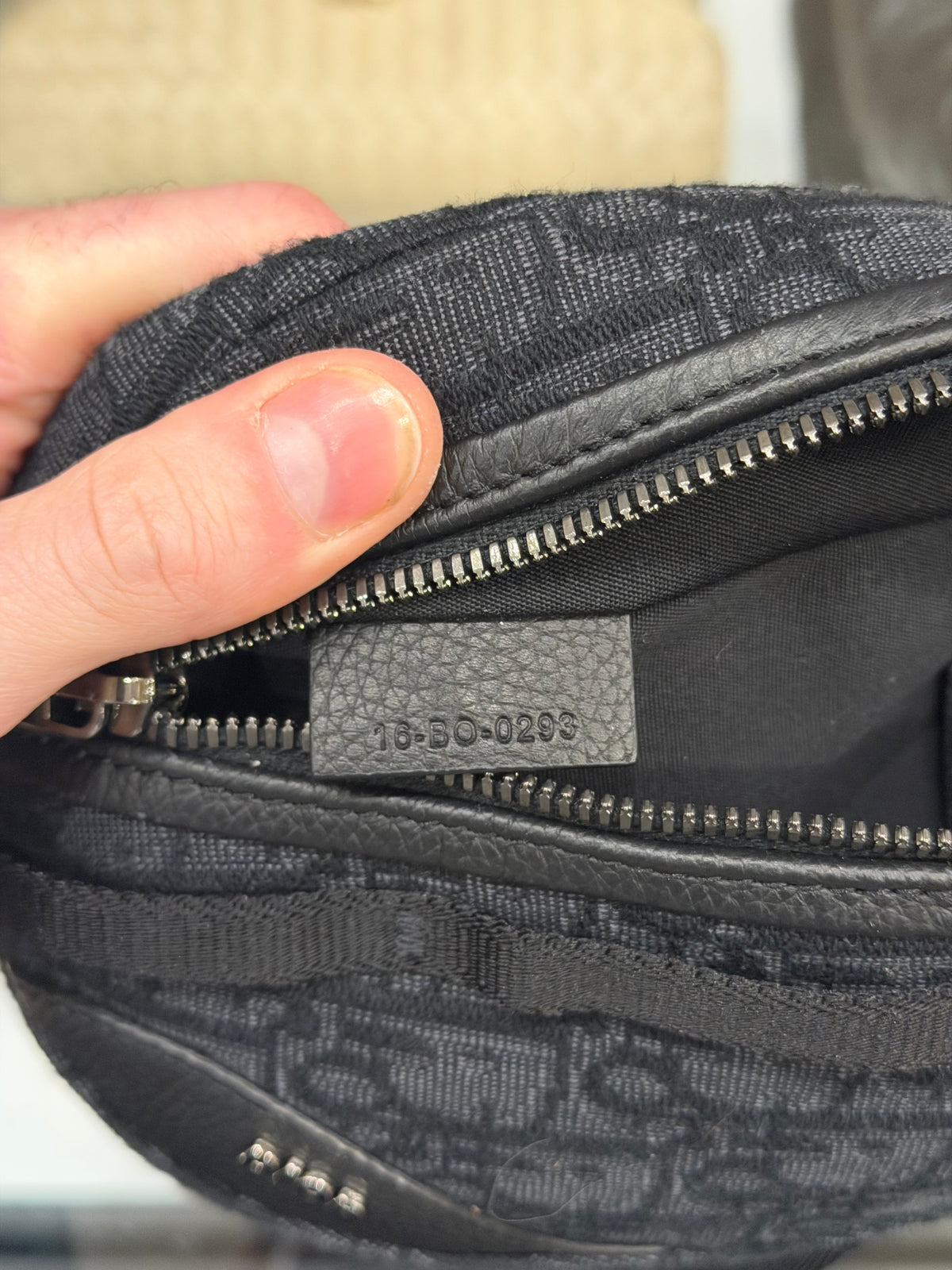 Dior Oblique Canvas Scarab Sling Bag