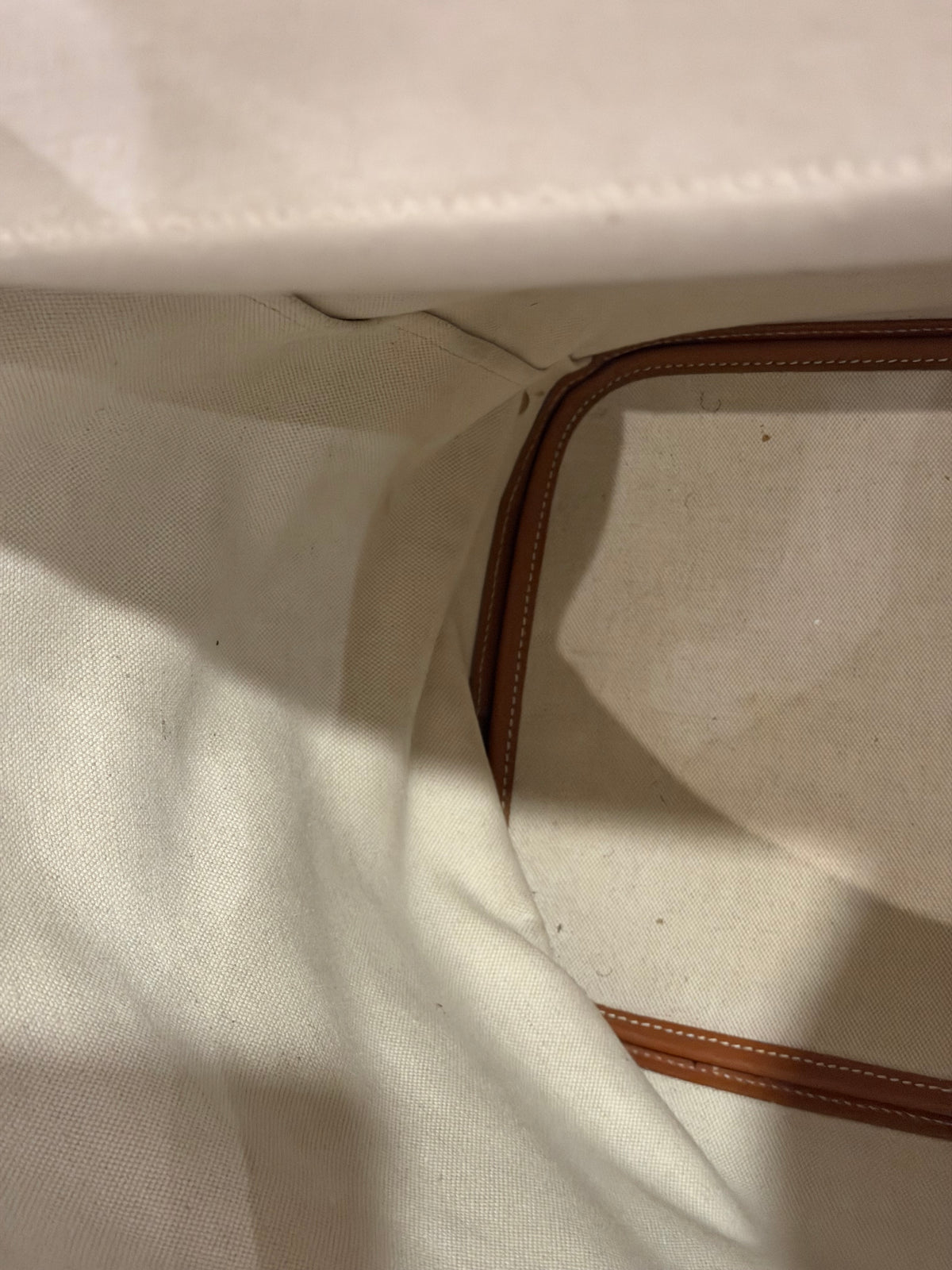 Goyard Steamer PM Backpack