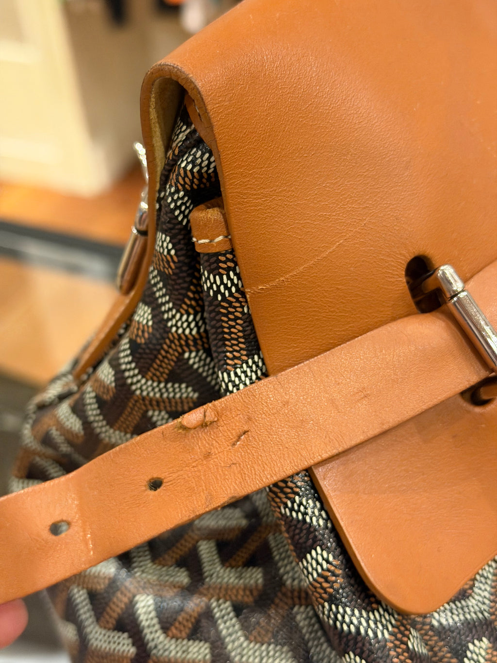 Goyard Steamer PM Backpack