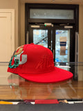 Gallery Dept. Art That Kills Fitted Cap - Red