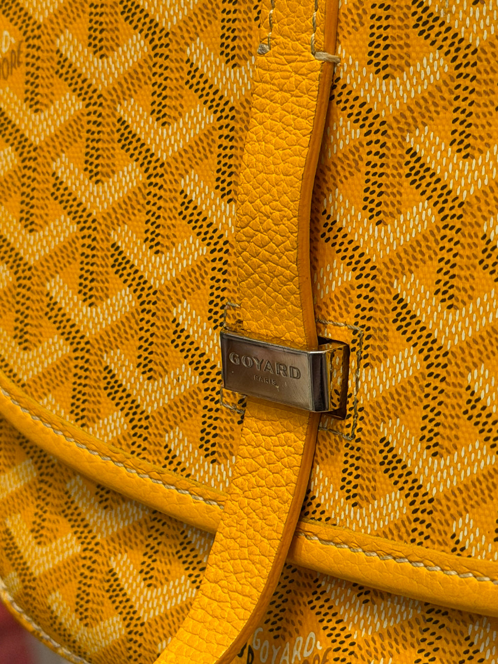 Belvedere II Messenger Bag Coated Canvas PM