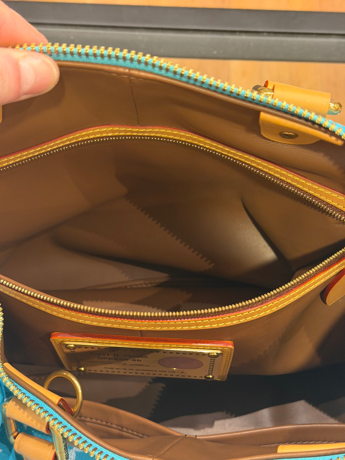 Louis Speedy P9 Bandoulière 40 Turquoise Duffle Bag