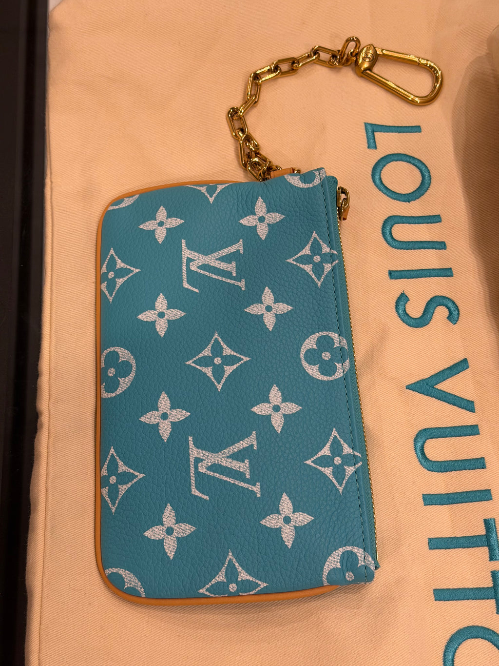 Louis Speedy P9 Bandoulière 40 Turquoise Duffle Bag