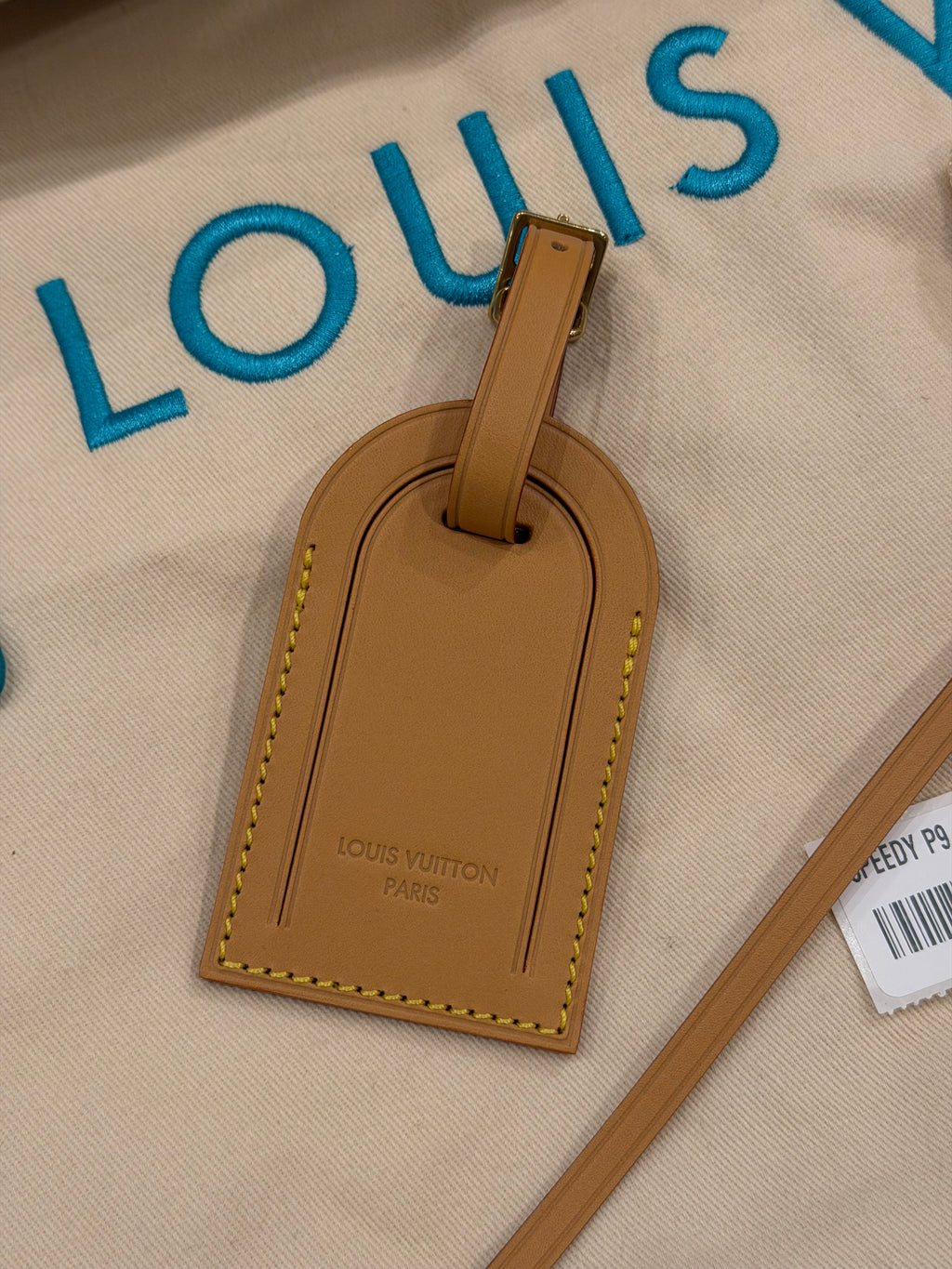 Louis Speedy P9 Bandoulière 40 Turquoise Duffle Bag