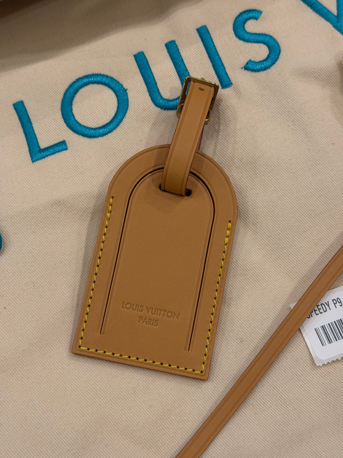Louis Speedy P9 Bandoulière 40 Turquoise Duffle Bag