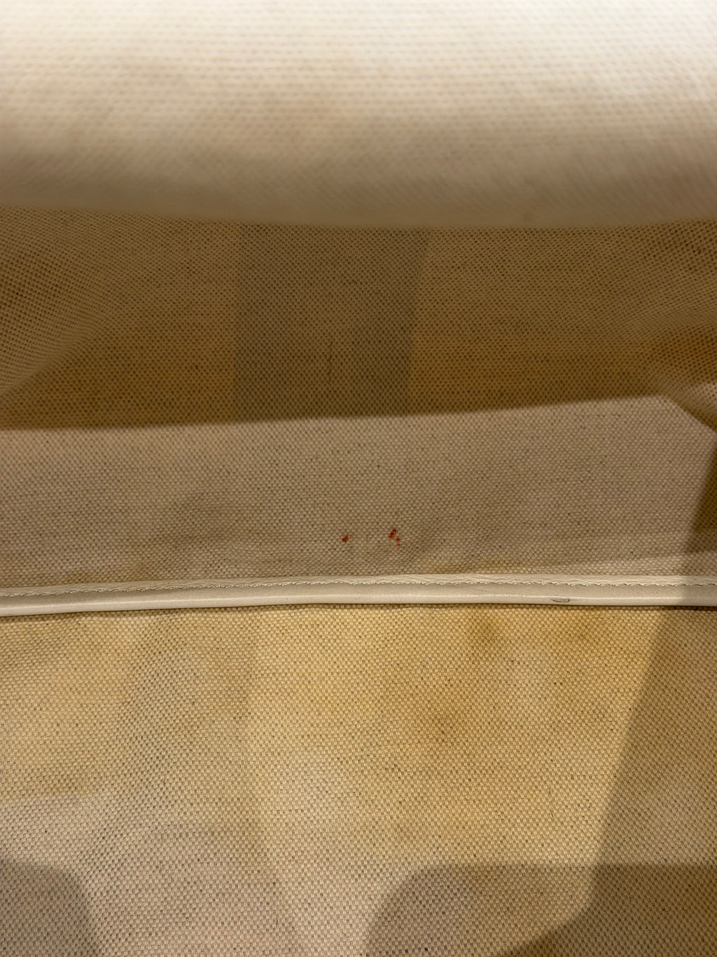 Goyard Saint Louis PM Tote Bag White