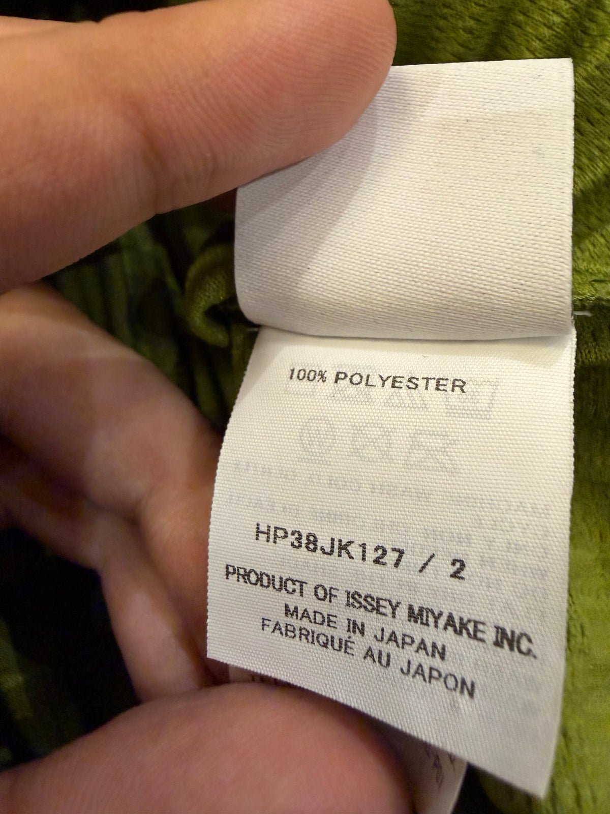 Issey Miyake Pleated Hoodie -
Green
