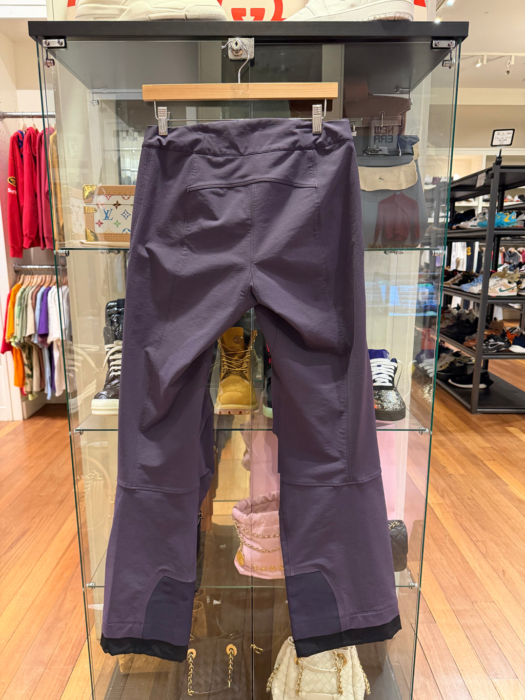 Arc'Teryx Snow Pants - Purple