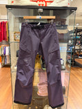 Arc'Teryx Snow Pants - Purple