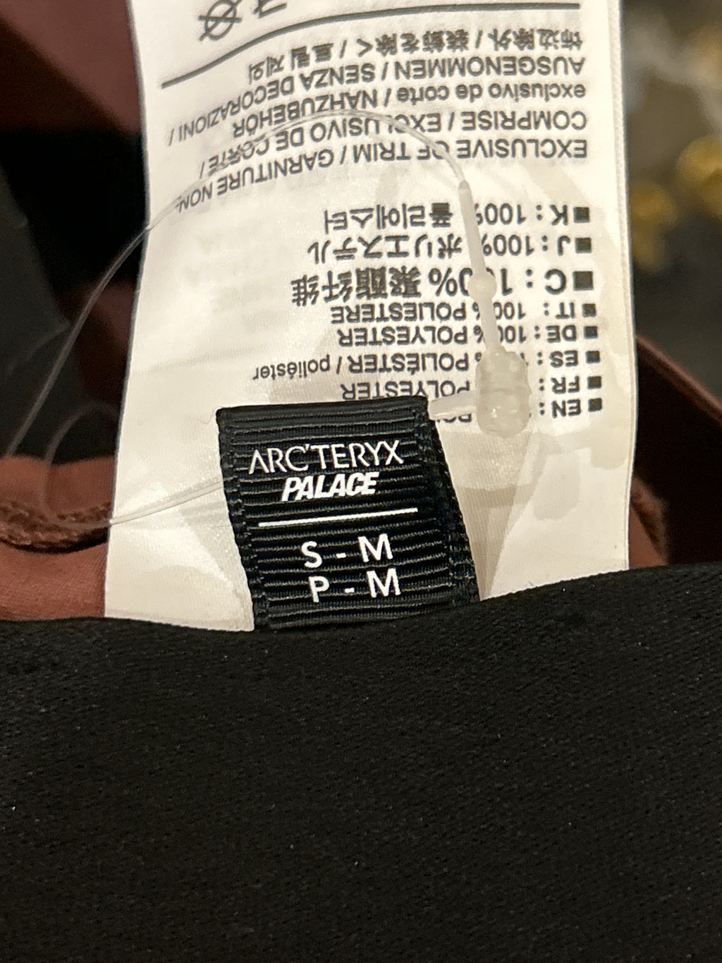 Arc'teryx x Palace Sinsolo Bucket Hat