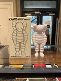 Kaws Open Edition What Party Figure - White