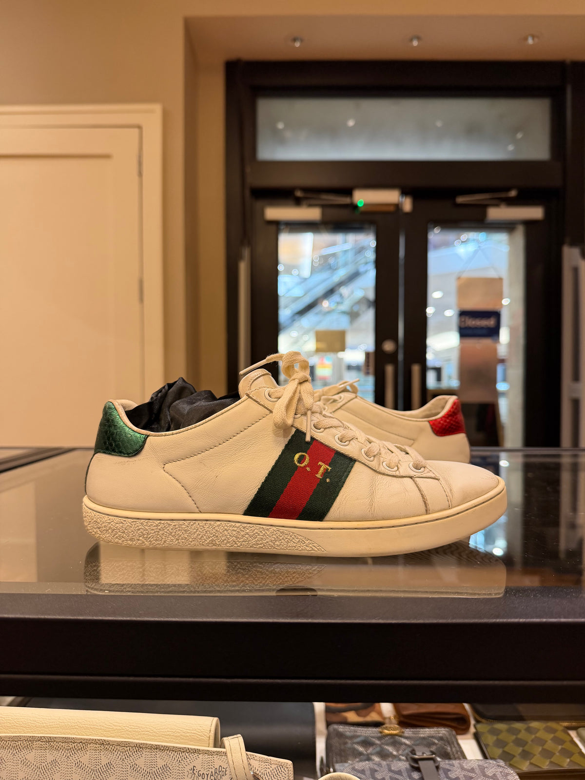Gucci Ace Lowtop