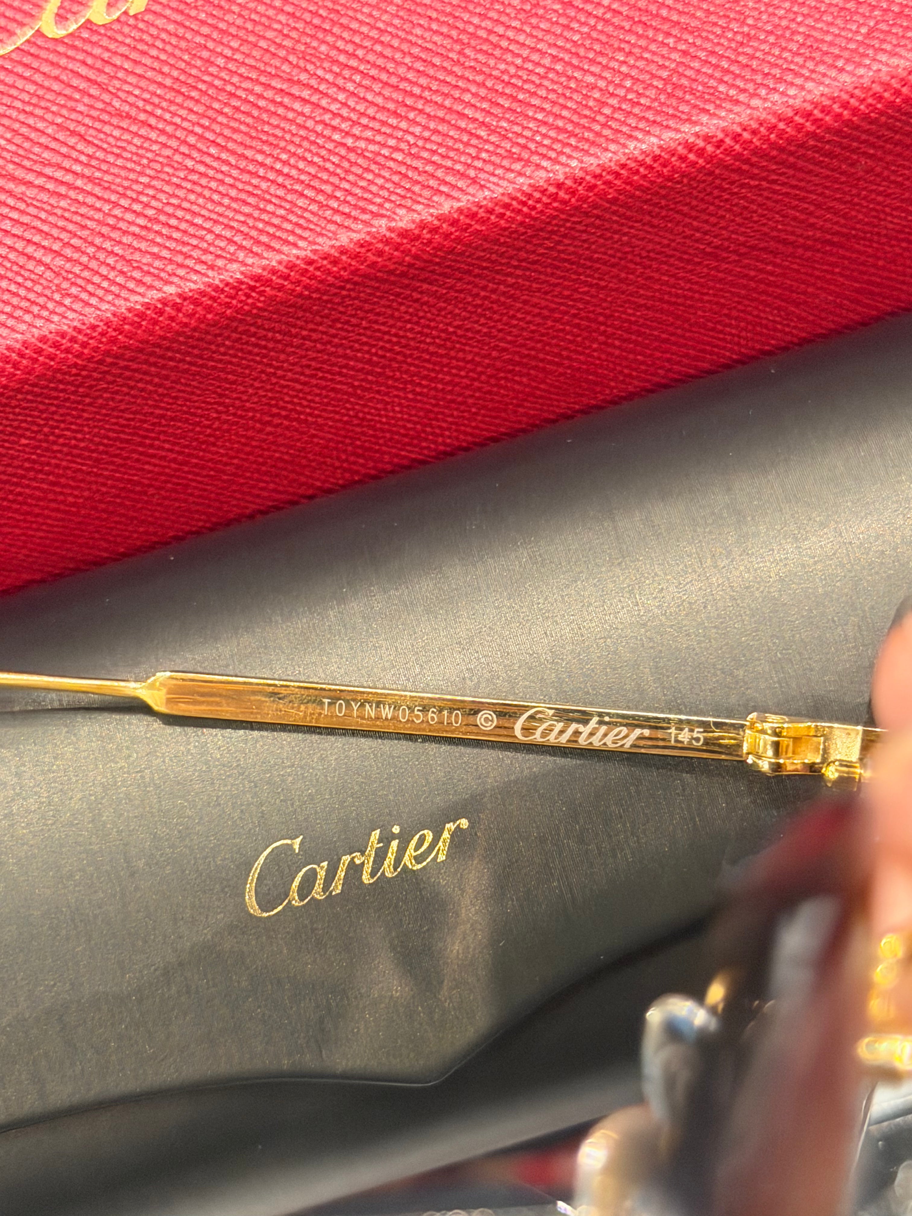 Cartier Round Frameless Sunglasses- CT0393S