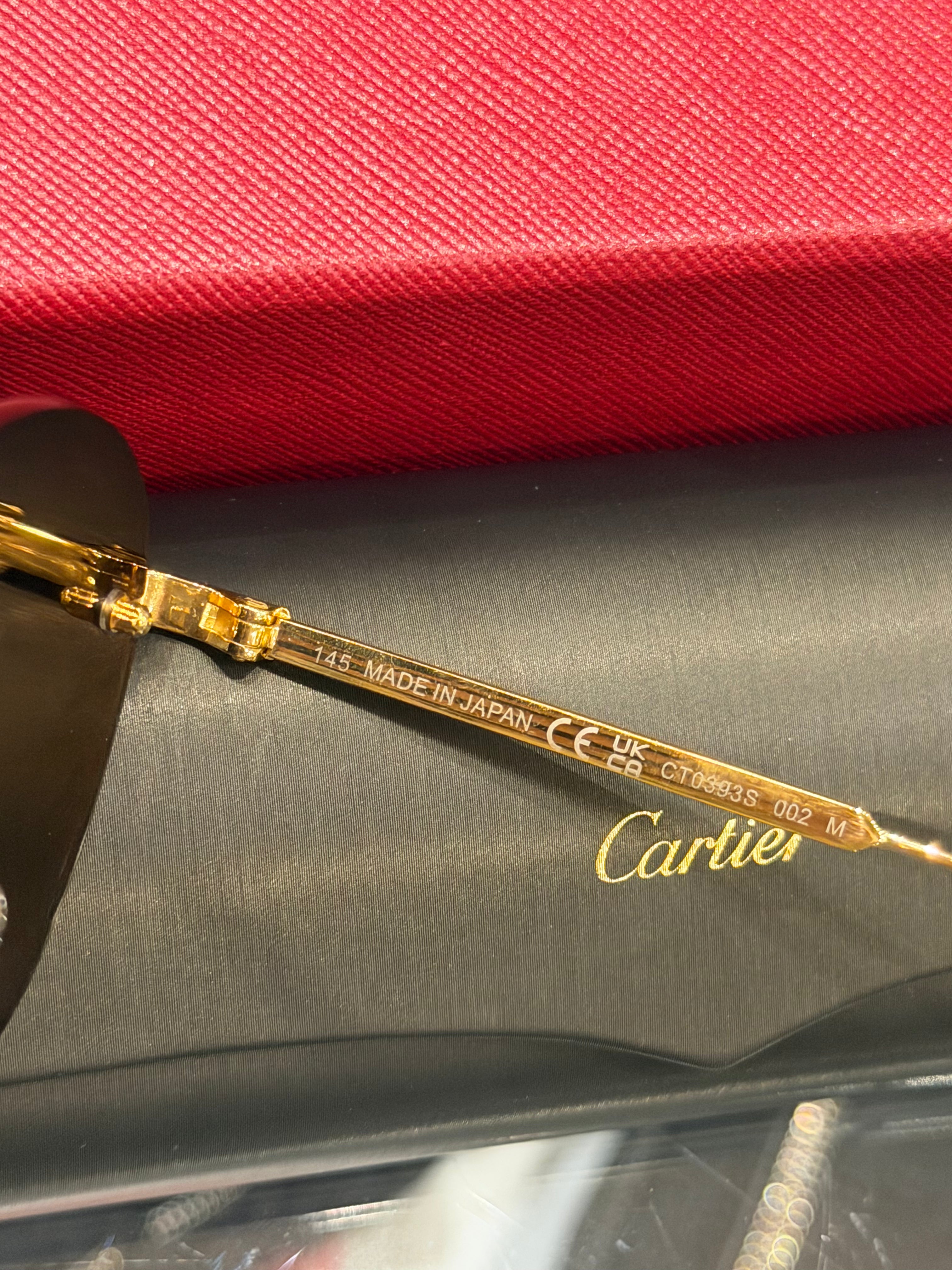 Cartier Round Frameless Sunglasses- CT0393S
