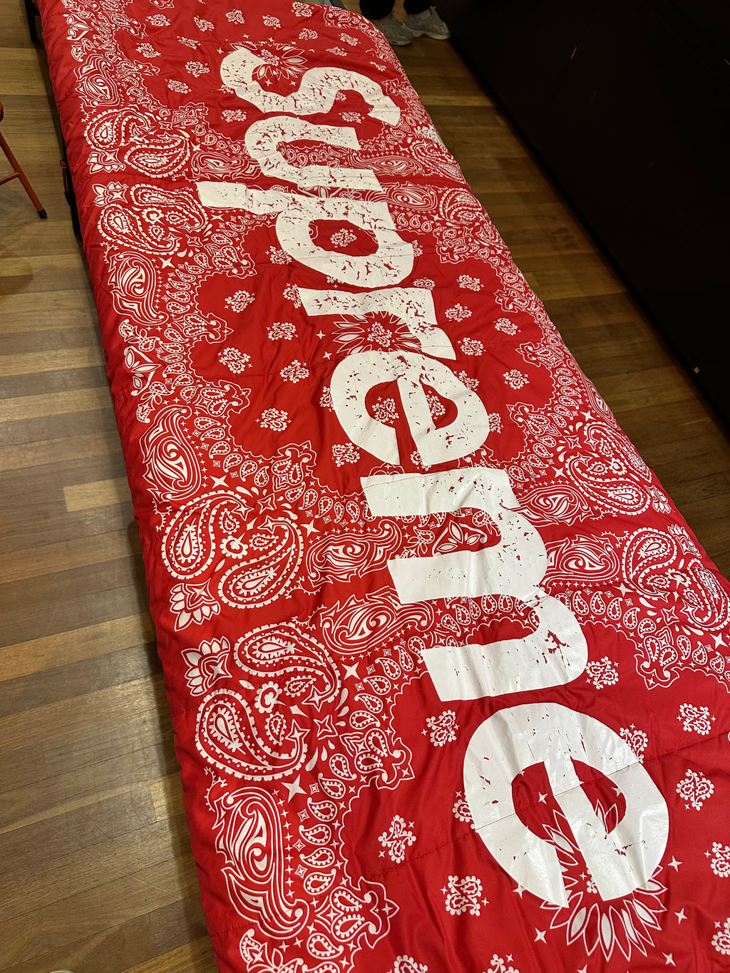Supreme x The North Face Bandana Dolomite Sleeping Bag