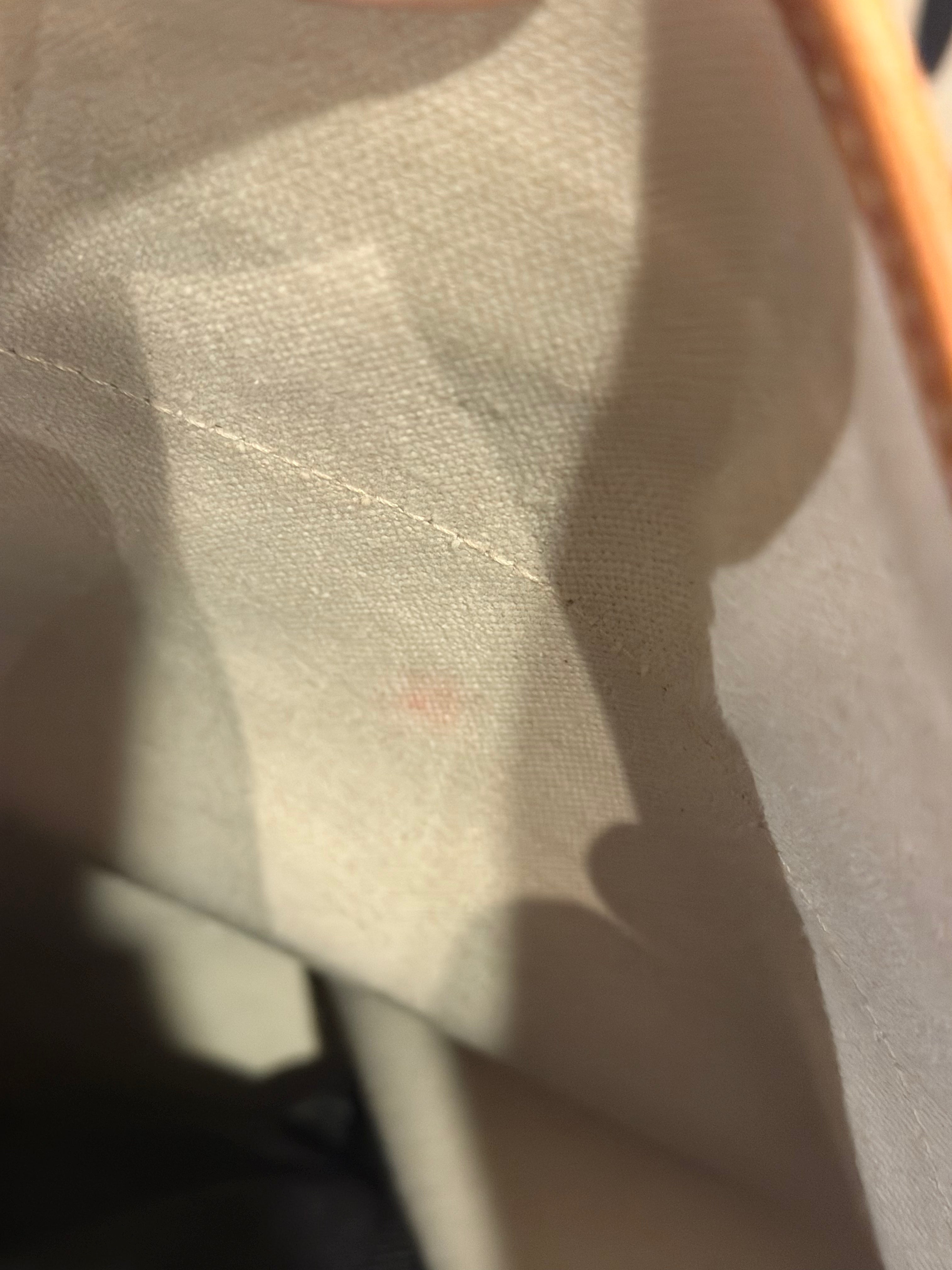 Goyard Steamer PM Backpack