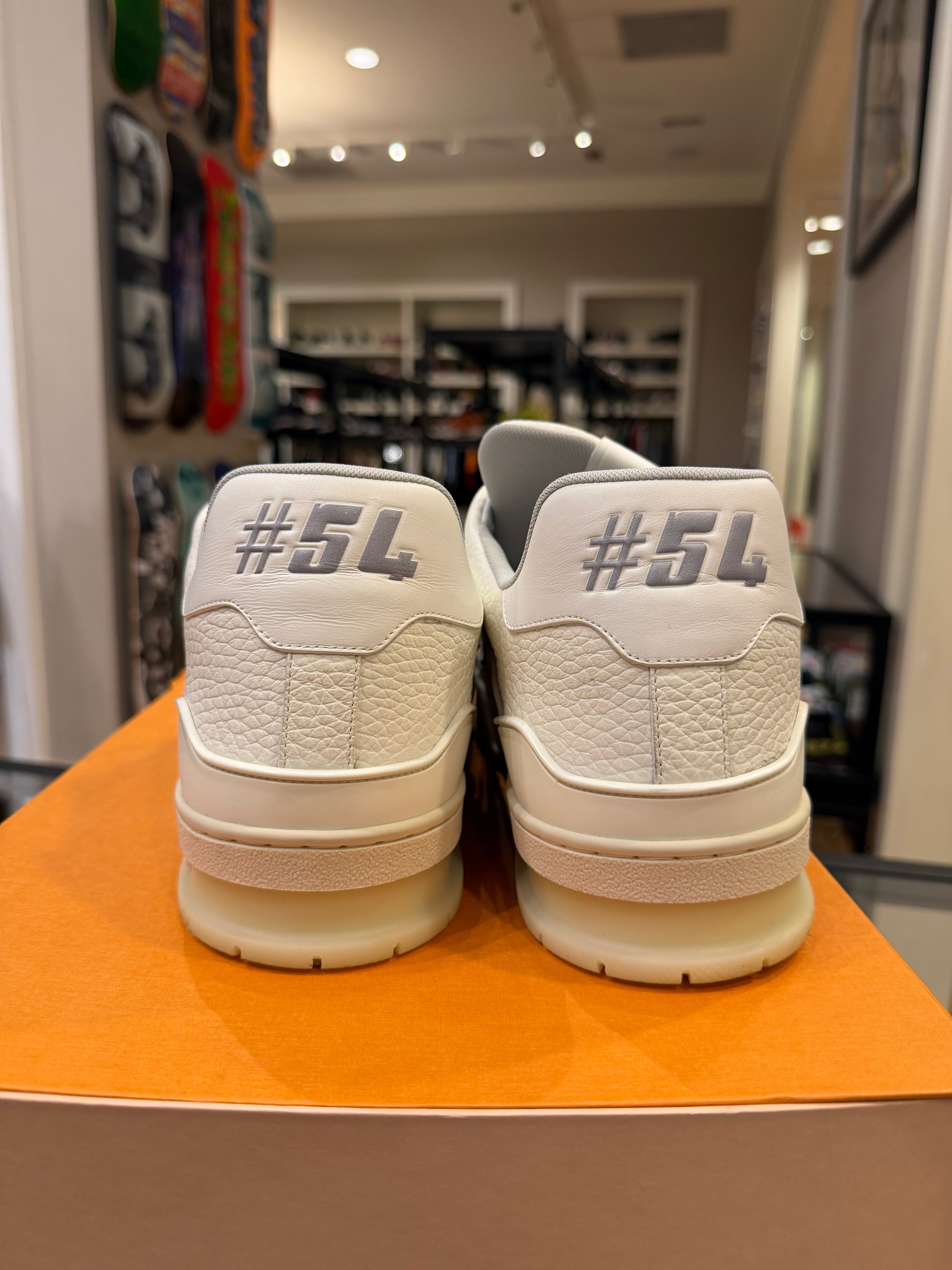 Louis Vuitton LV Trainer - White