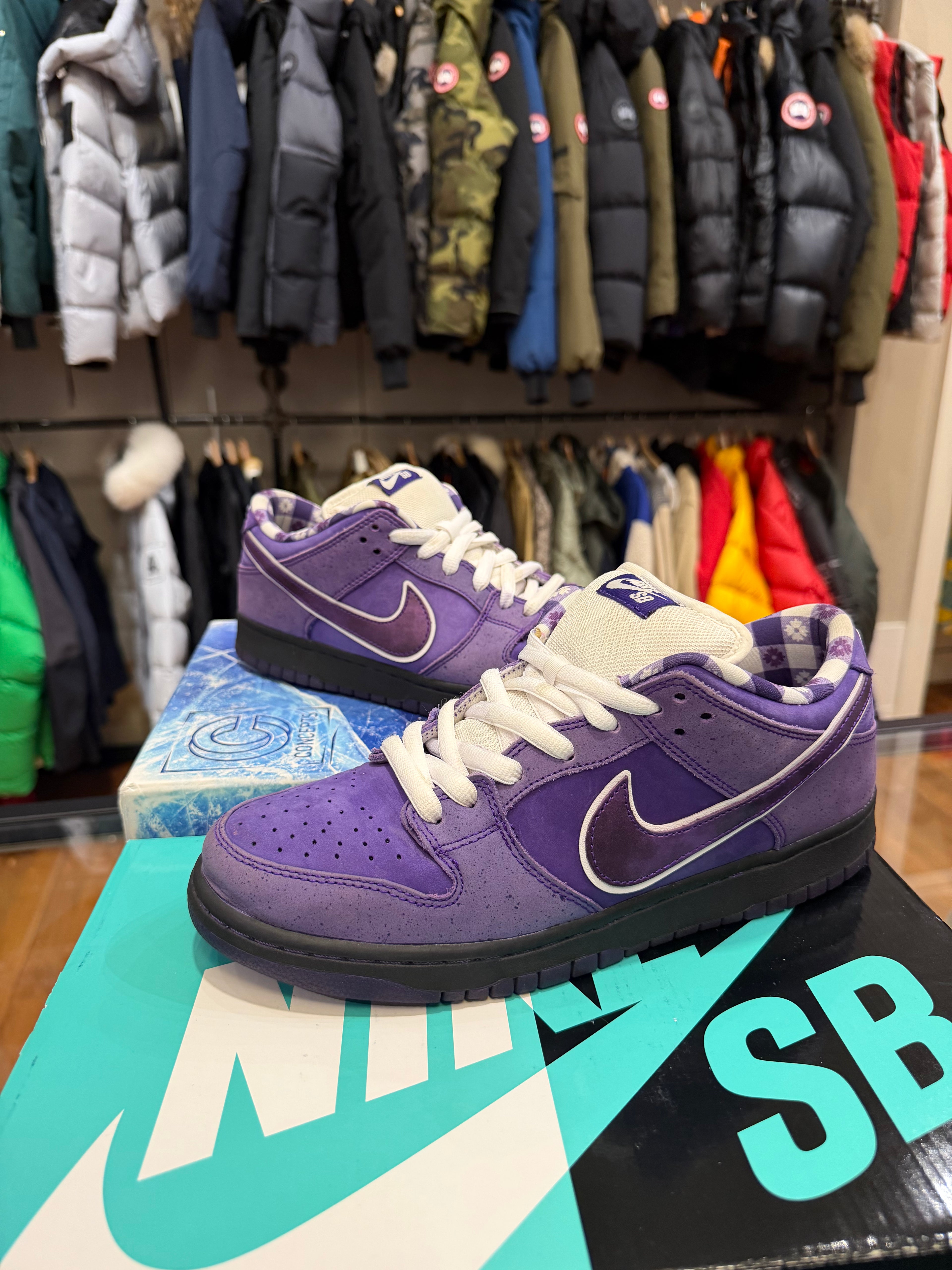 Concepts x Nike SB Dunk Low - Purple Lobster