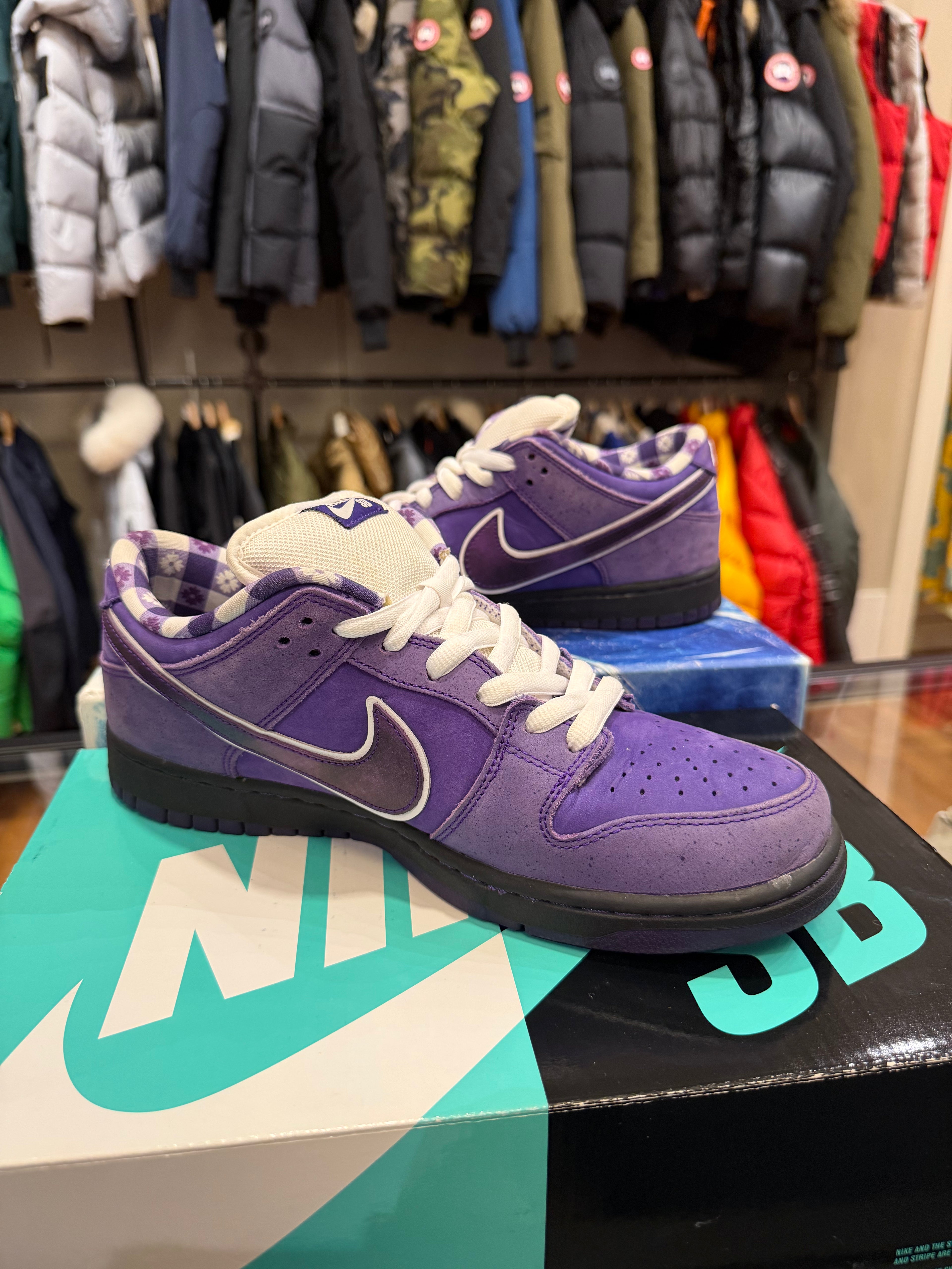 Concepts x Nike SB Dunk Low - Purple Lobster