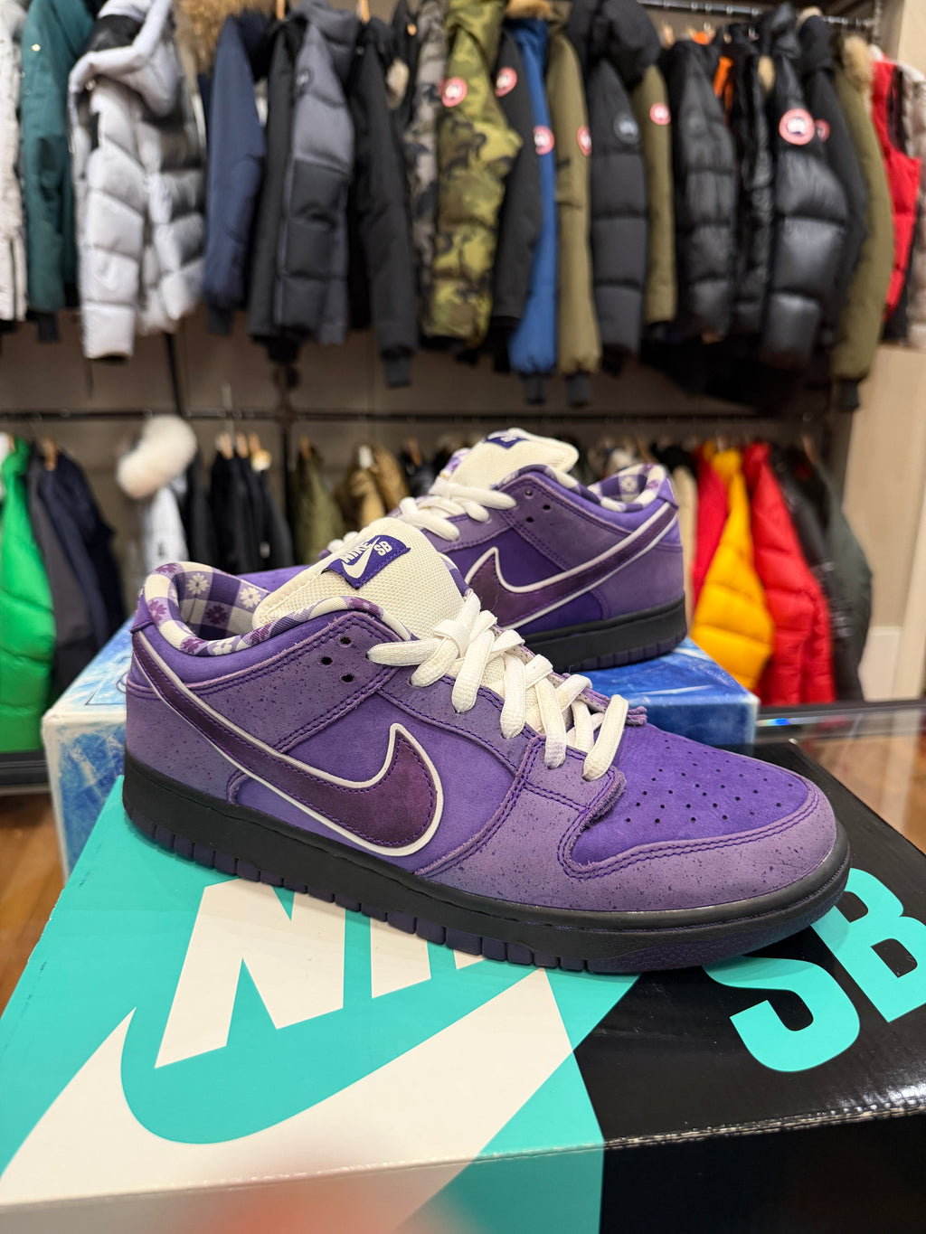 Concepts x Nike SB Dunk Low - Purple Lobster