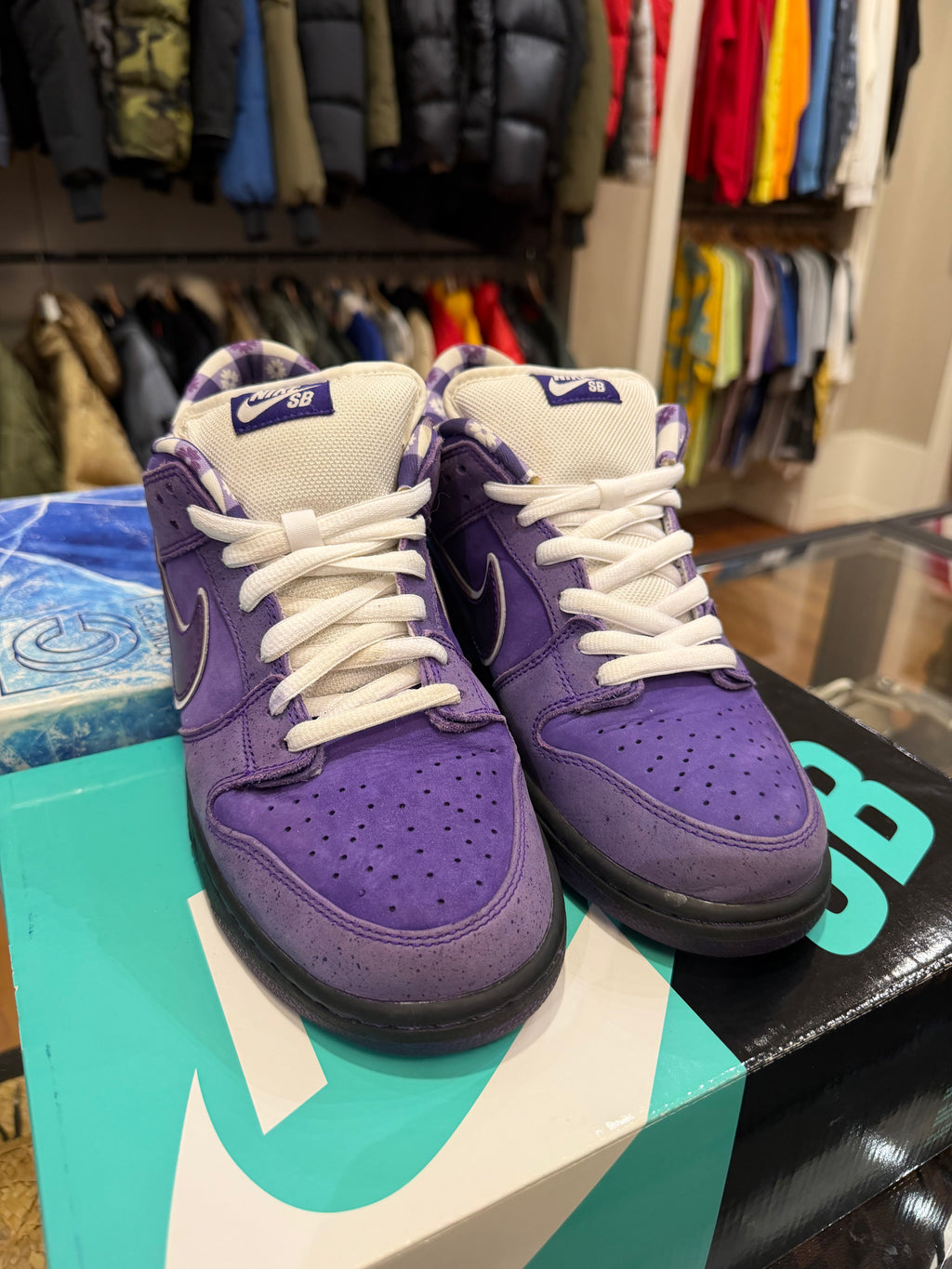 Concepts x Nike SB Dunk Low - Purple Lobster