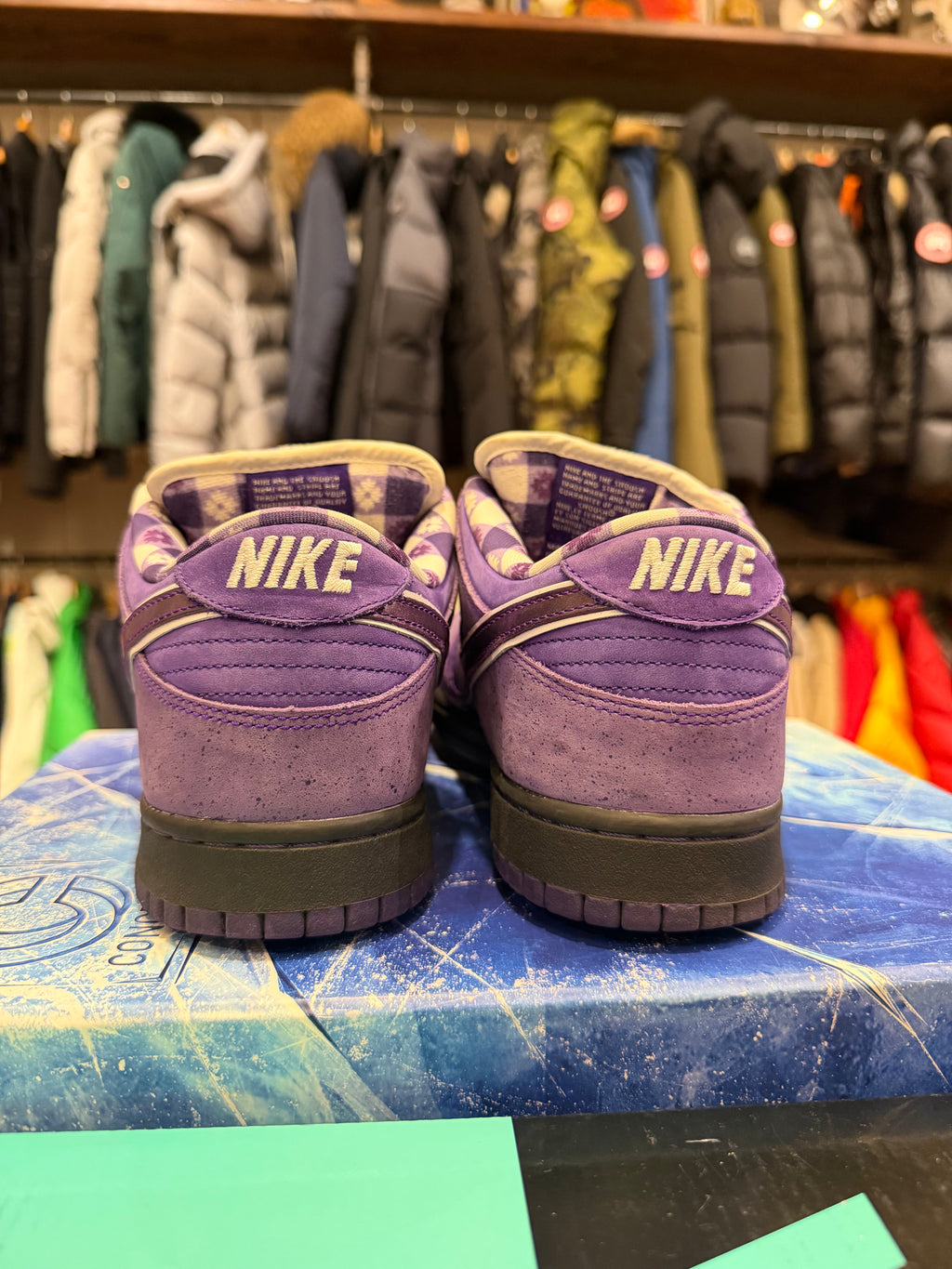 Concepts x Nike SB Dunk Low - Purple Lobster